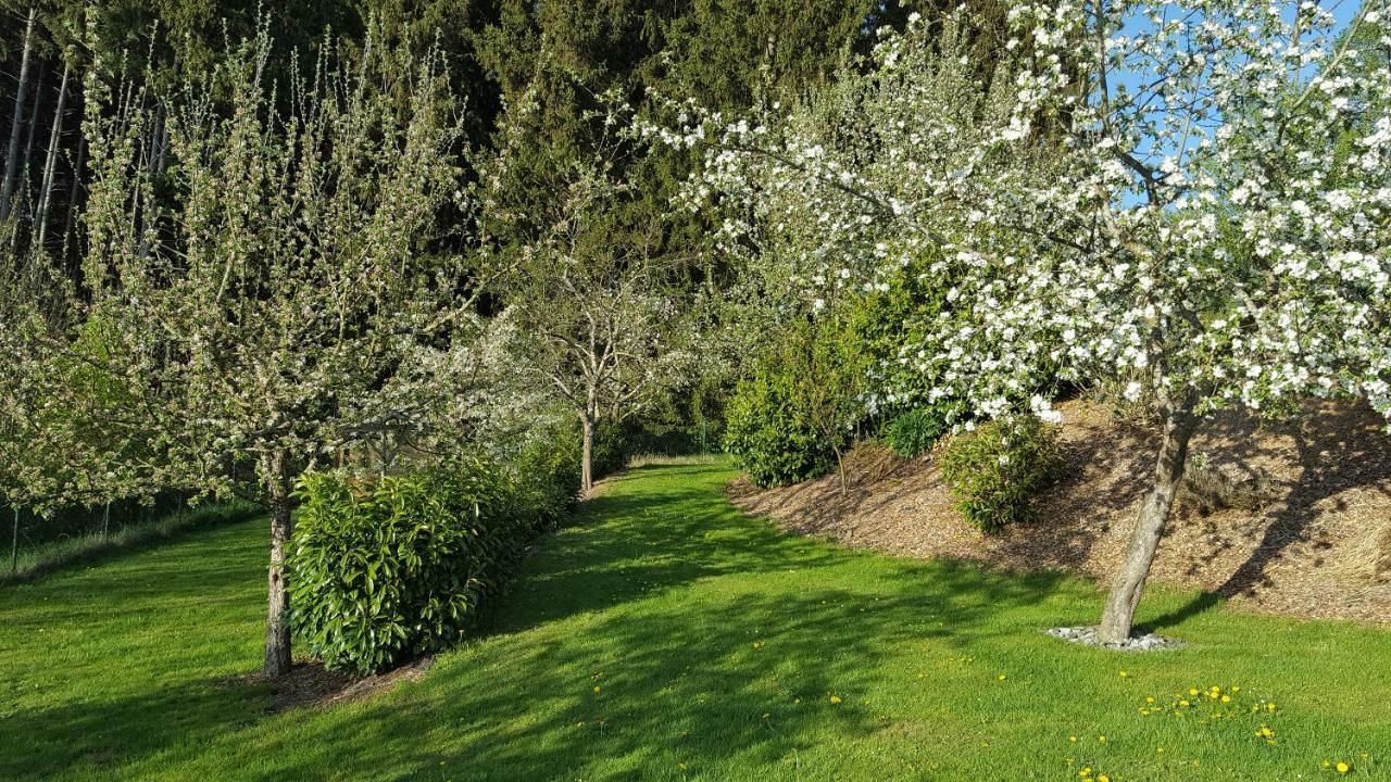 Ferienwohnung Am Waldrand Herdwangen-Schönach Kültér fotó