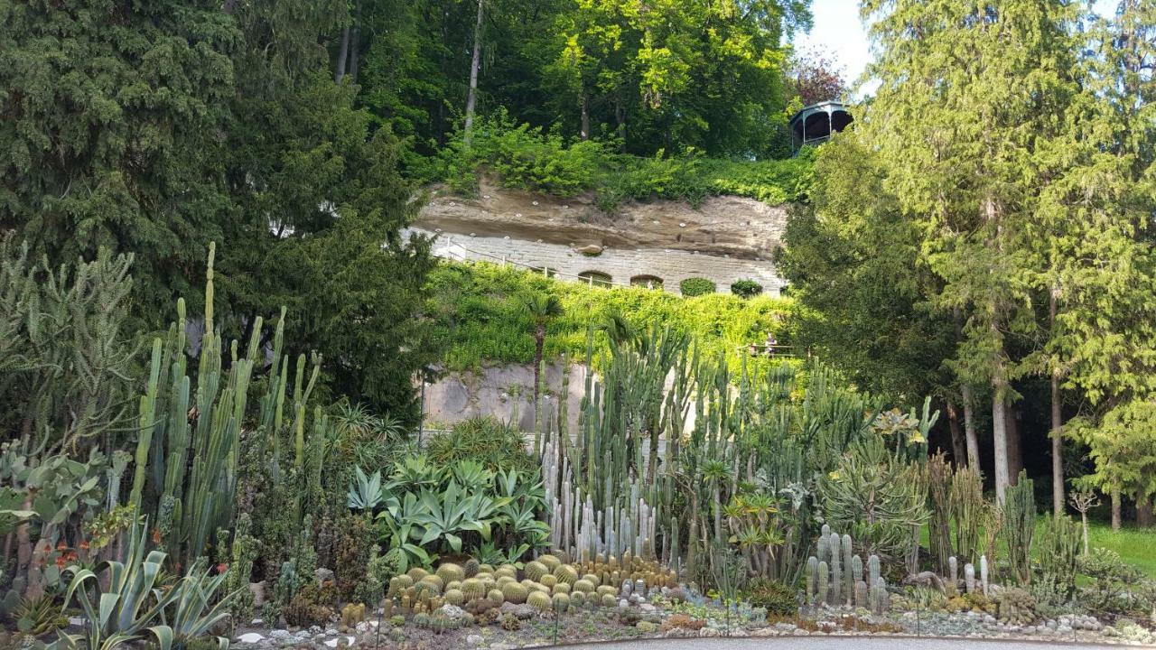 Ferienwohnung Am Waldrand Herdwangen-Schönach Kültér fotó
